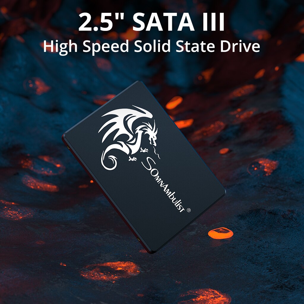 SomnAmbulist SSD 120GB 240GB 4 - đánh giá và giá Samsung Ssd Evo 870