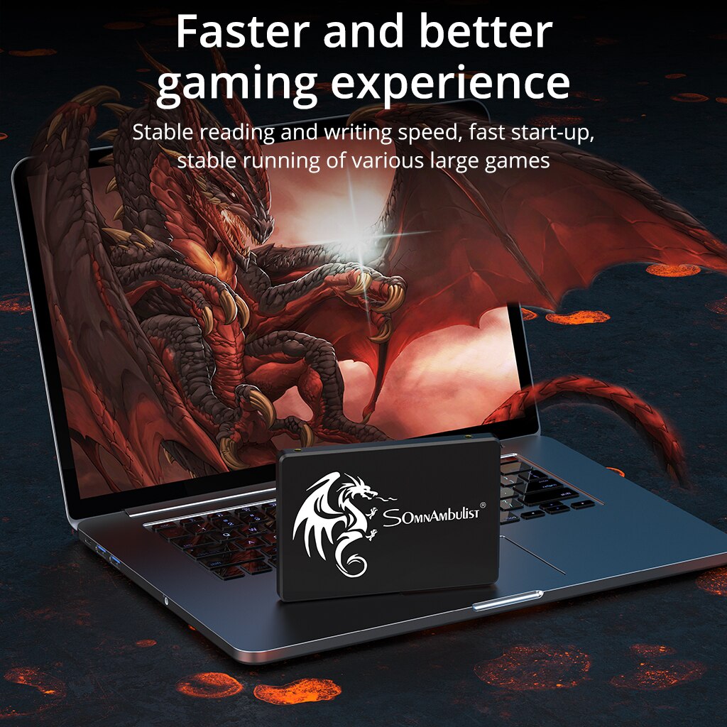SomnAmbulist SSD 120GB 240GB 4 - đánh giá và giá Samsung Ssd Evo 870